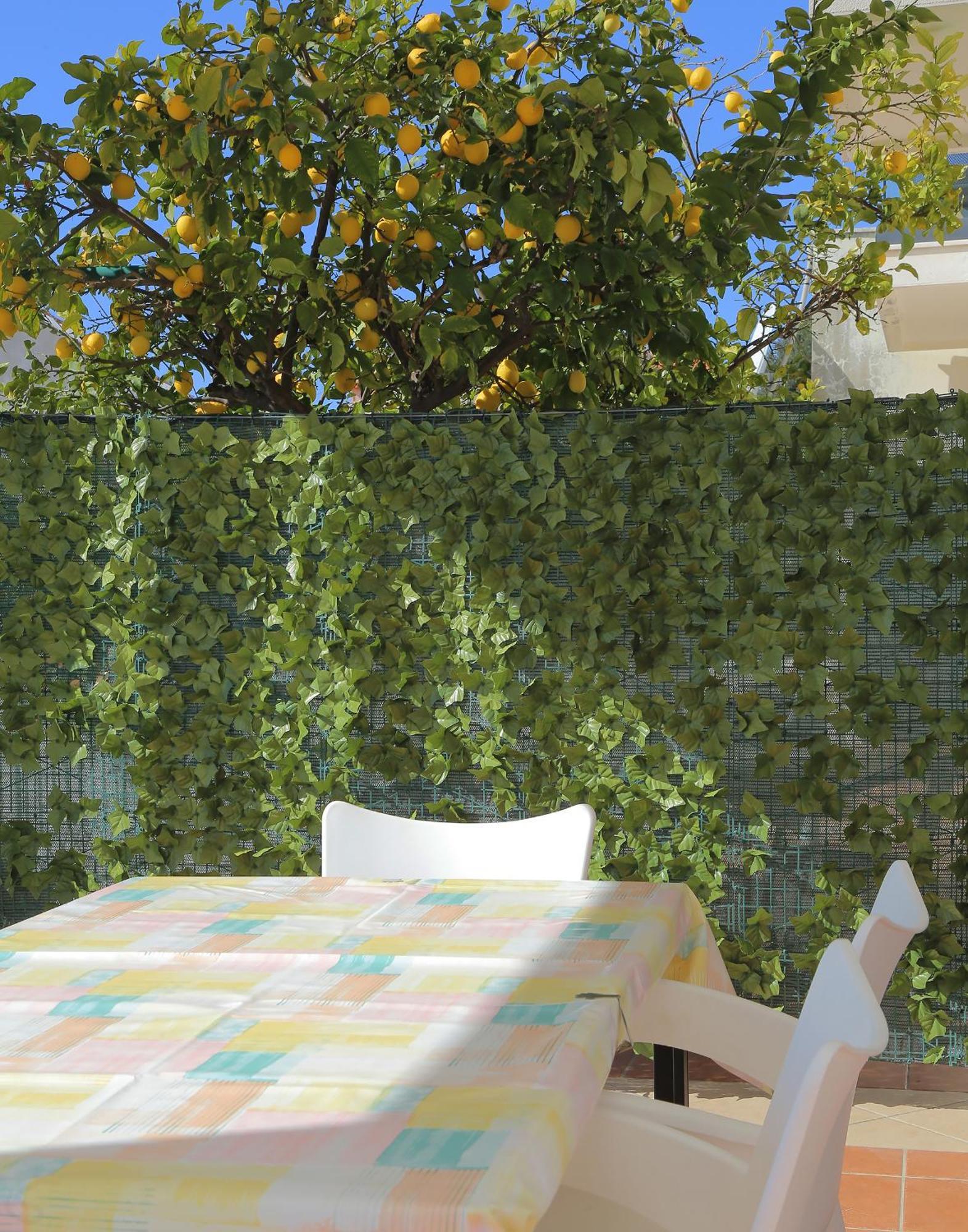 Apartments Isabora Dubrovnik Ngoại thất bức ảnh